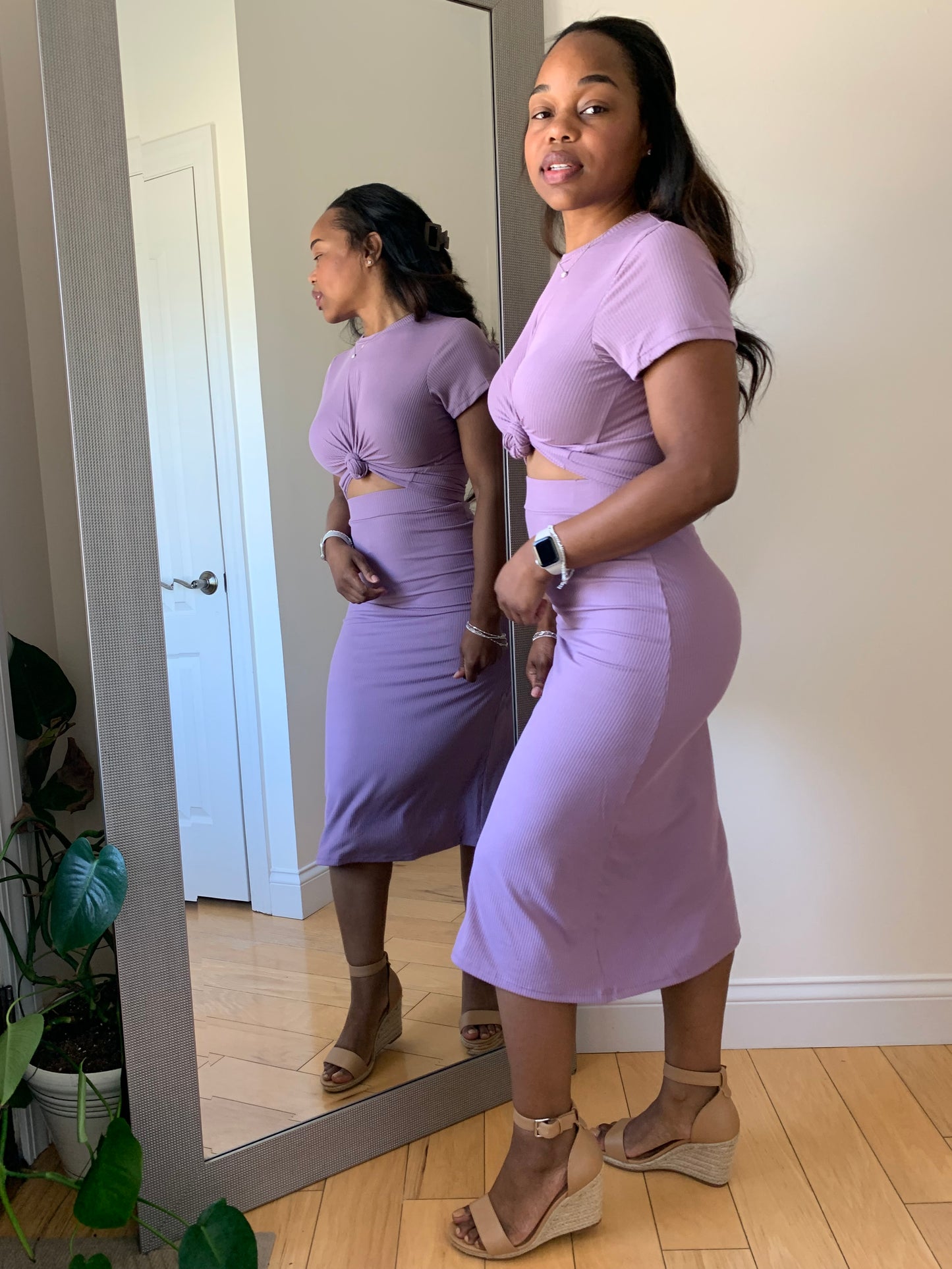 The First Lady - Orchid