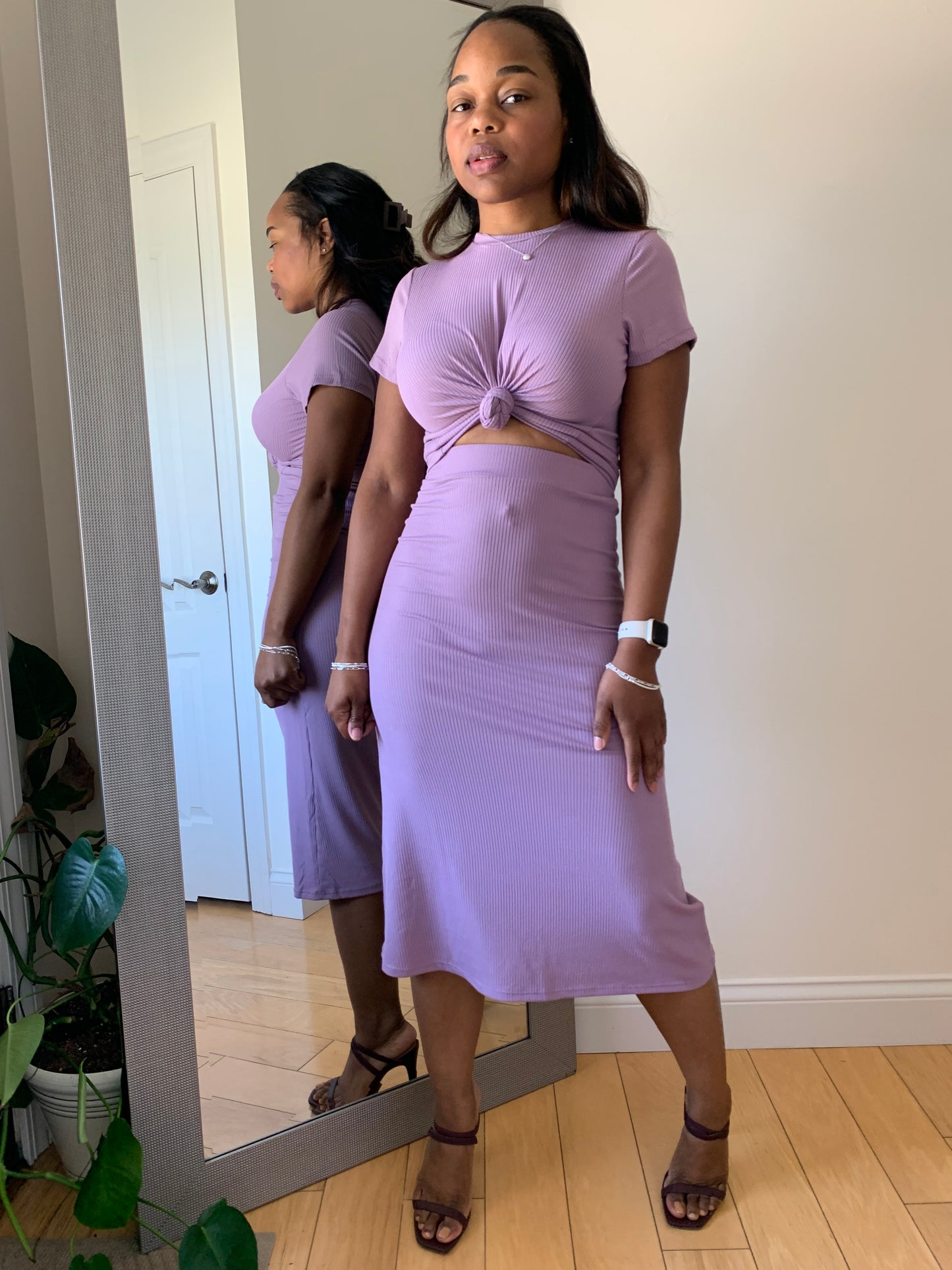 The First Lady - Orchid