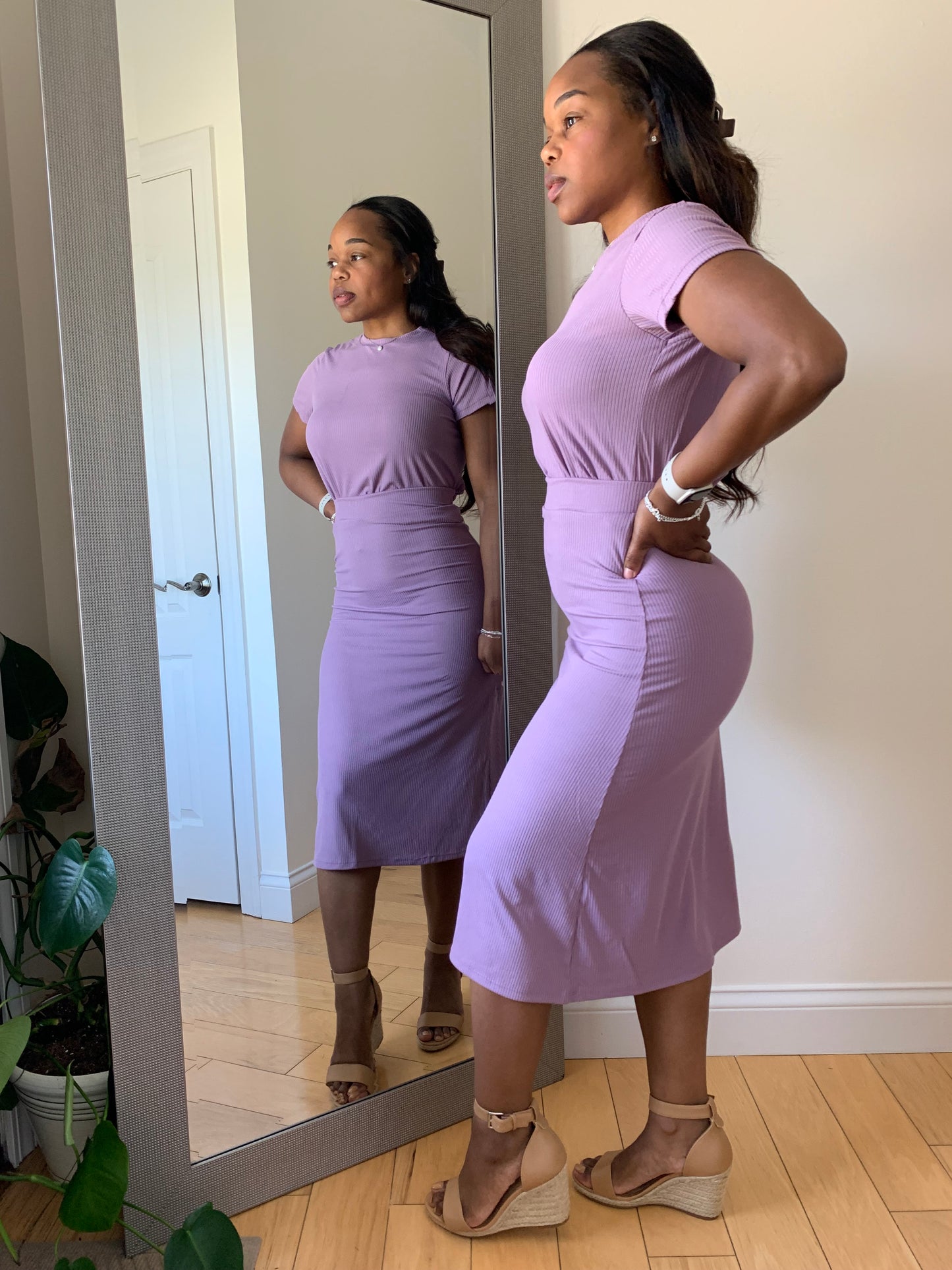 The First Lady - Orchid