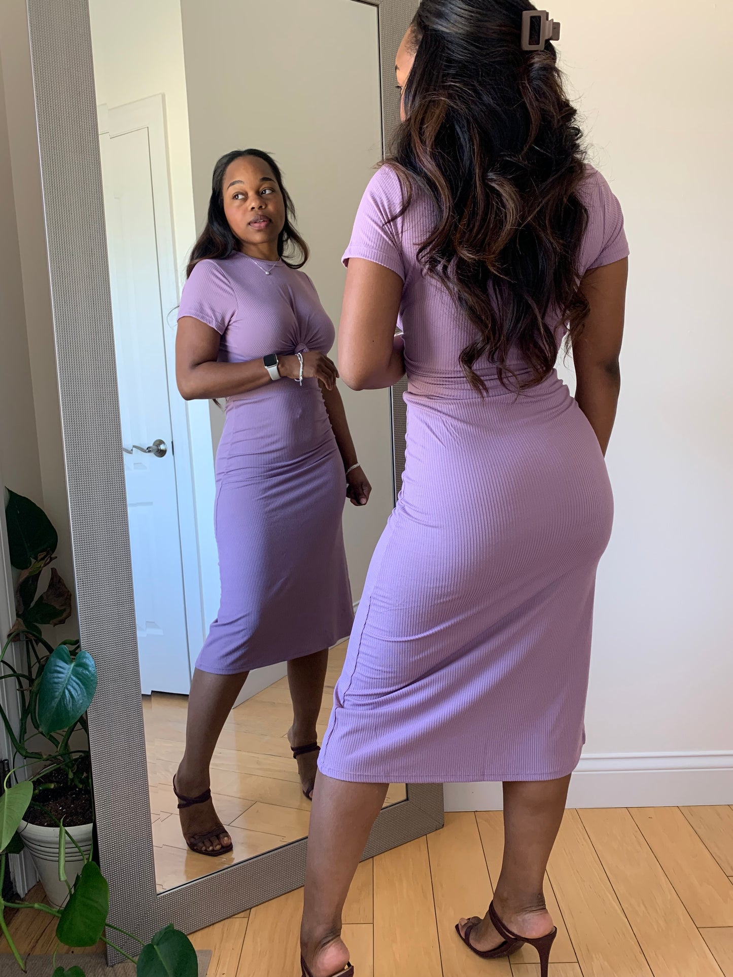 The First Lady - Orchid