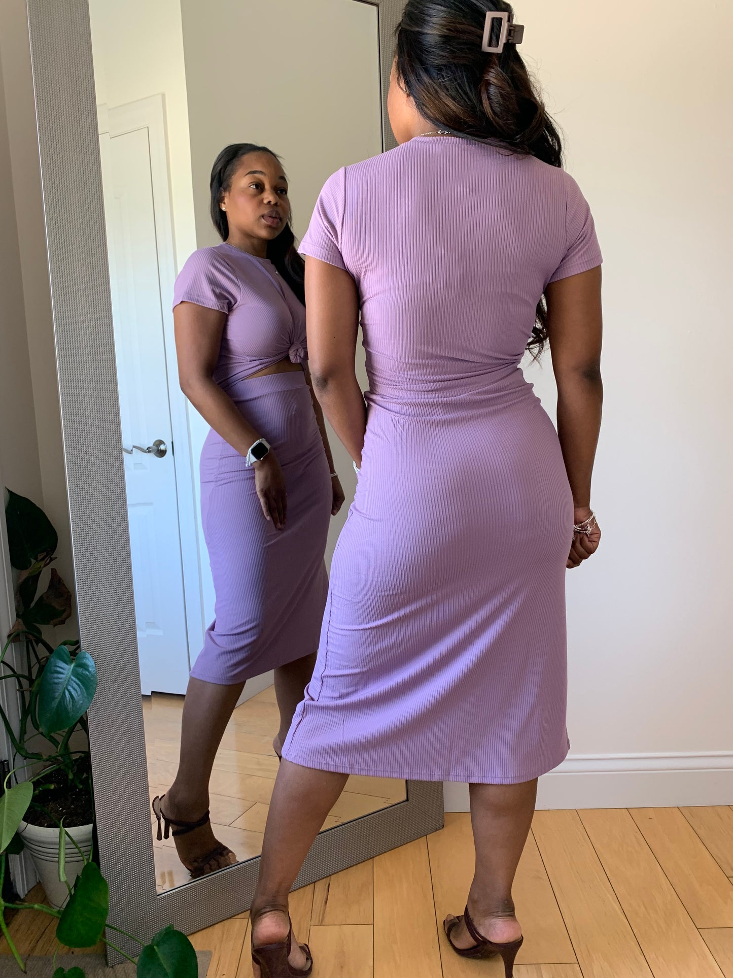 The First Lady - Orchid