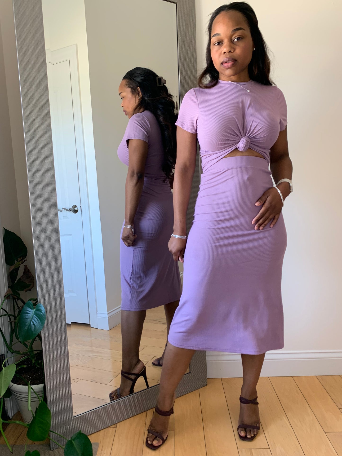 The First Lady - Orchid